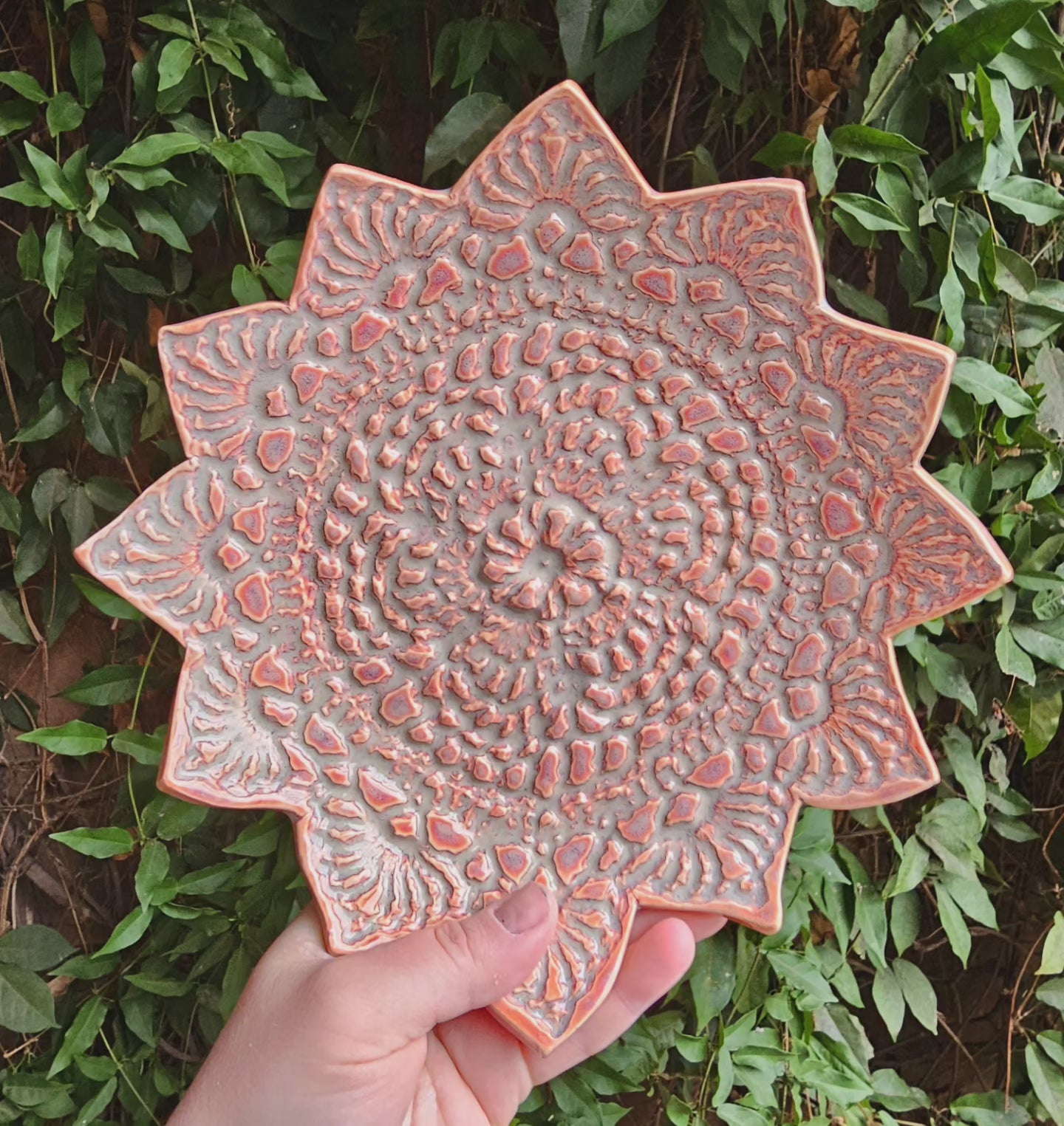 Sophie Dish